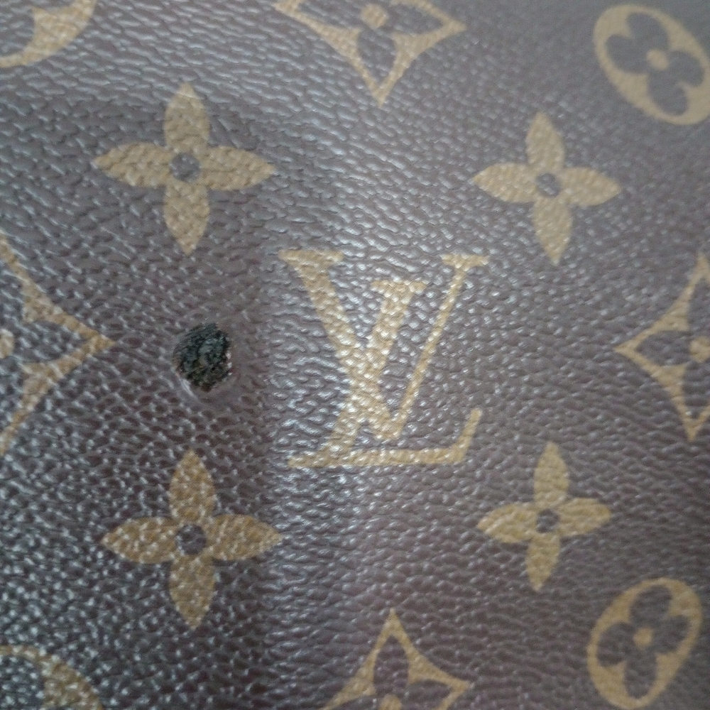 Louis Vuitton Bag - Picture 5 of 14